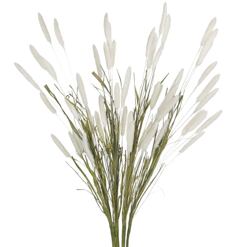 4 Pcs Bunny Tails Artificial Flowers Spring Summer Plants Boho Pampas Grass 32" Floral Stems with Green Artificial Wheat Grass White Dried Flowers Arrangements for Fall Vase Home Decor Wedding - color: White
