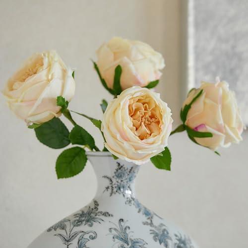 WILD WORKS Artificial Austin Roses, 4 Pcs Real Touch Fake Flowers with Moist Fabric Petals, 17.7 Inch for Mother's Day Wedding Home Decor (Champagne) - color: Champagne 4pcs