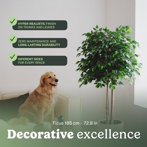 Maia Shop 7ft Artificial Ficus Tree Plant for House, Apartment or Office – Realistic Fake Indoor Plants for Living Room, Bedroom, Bathroom, Entryway - color: Ficus, size: 6ft 5in