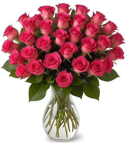 25 Hot Pink Roses with Vase | Arabella Bouquets | Real Fresh Flowers for Delivery, Gift for Birthday Women, Congratulations, Anniversary, Thank You, Mother's Day - color: Hot Pink, size: 25 Stems