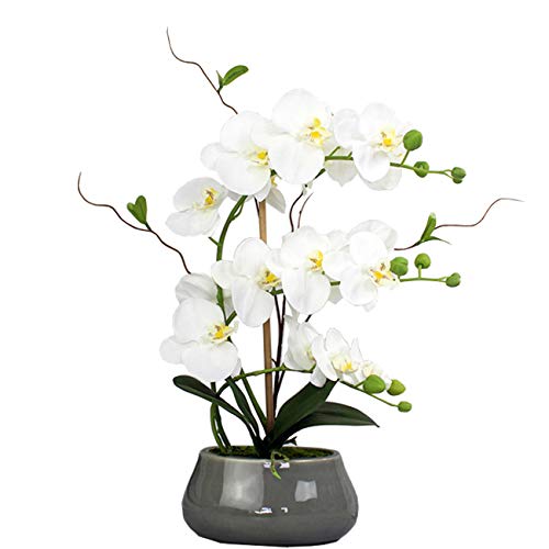 Tinsow Artificial Green Phalaenopsis Simulation Moth Orchid Leaf Real Latex Touch Green Plant for Flowers Garden Bonsai Decor (5, 9.5"/5 Leaves)