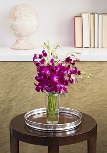 KaBloom - Bouquet of Purple Orchids from Thailand with Vase - Fresh Flowers for Birthday, Valentine's & Mother's Day - color: Purple, style: With Vase