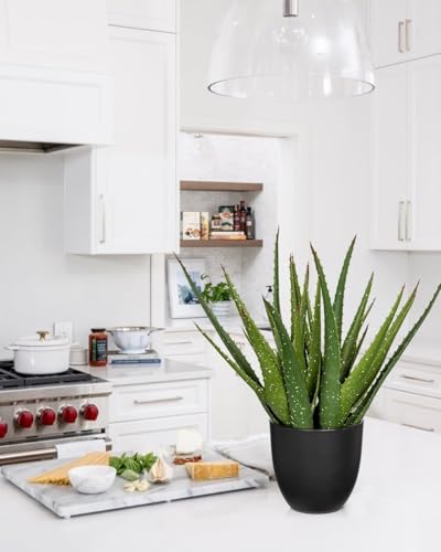 GnFlus Large Fake Succulent Aloe Vera Plants 16.5 Inch Artificial Succulents with Black Pot Faux Aloe Potted Plant for Desk Modern Home Office Bedroom Living Room Table Shelf Decor - color: Green