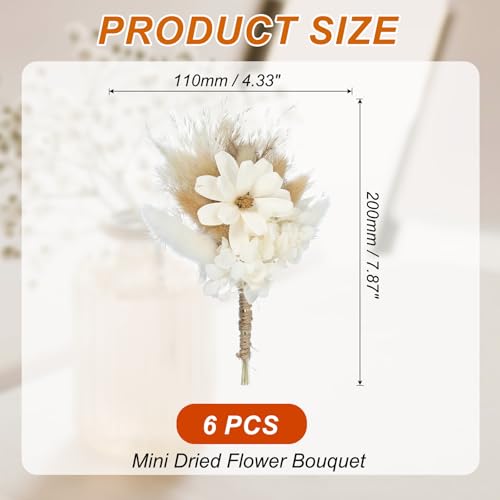 PATIKIL Mini Dried Flower Bouquet, 6 Pcs Pampas Grass Natural Wildflower with Stem Decor Baby's Breath Boho Floral Plant Flower for Crafts DIY Photo Props Gift Wedding Decor, White - color: White