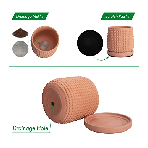 D'vine Dev 4 Inch Terracotta Beaded Planter Pot - Flower Pot with Drainage Holes and Saucers for Indoor Succulent Plants or Flowers,Terracotta, 27-C-Z-7 - color: Terracotta, size: 4.3 Inch