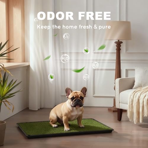 HQ4US 4LEGS Dog Grass Pad with Tray Medium 31”×21”, Dog Litter Box with Odor Free Artificial Grass Pee Pads for Dogs Potty Tray with Hemmed Edge, Realistic for Indoor Balcony - size: M - 31" x 21" for Dog＜ 26'' Length
