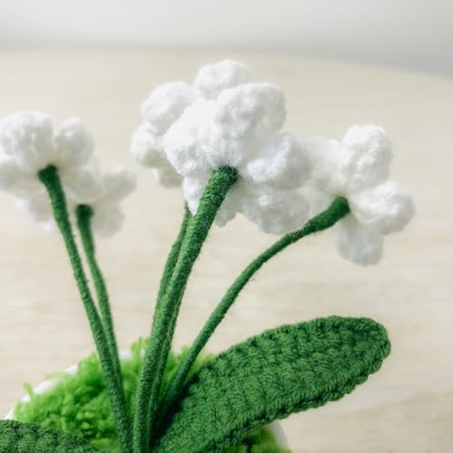 Joekaran Crochet Flowers Cute Little Potted Flower, Gift for Birthday, Mother's Day, Teacher’s Day, Graduation, Anniversary, Decor for Car Dashboard,Home Office Decoration (White Myosotis) - color: White Myosotis