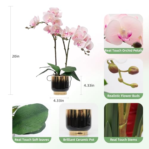 CXGS Orchids Artificial Flowers Real Touch Fake Flowers in Ceramic Pot 20" Pink Faux Orchid Plant Lifelike Silk Phalaenopsis for Centerpiece Hotel Home Indoor Decor - color: Pink- Black Gold Vase