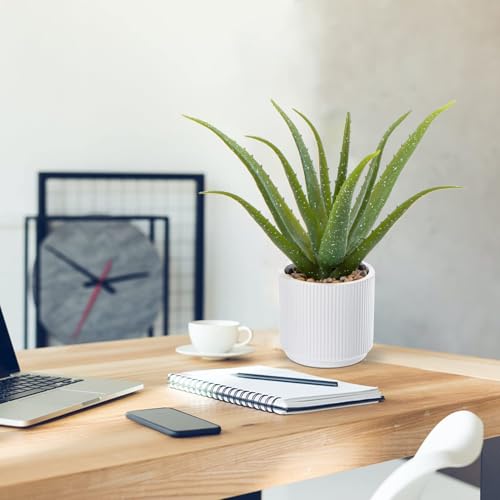 GnFlus Artificial Succulent Aloe Plants 13 Inch Large Faux Succulents with Ceramic Pot Fake Aloe Potted Plant for Home Indoor Bathroom Table Bedroom Shelf Office Decor - color: White-13"