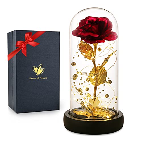 Mothers Day Rose Gifts for Mom, Birthday Gifts for Women, Flower Galaxy Glass Rose with 2 Light Modes Forever Eternal Colorful Gold Foil Rose in Glass Dome,Anniversary Valentines Women Gifts - color: Galaxy Rose