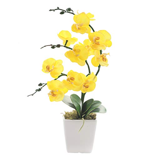 15" Tall Artificial Silk Phalaenopsis Orchid Flower Plant Pot Arrangements (Yellow) - color: Yellow