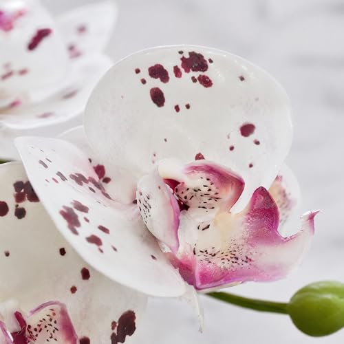 ATFL 6 Pack Ivory Orchid Artificial Flowers Real Touch, 23'' Artificial Fake Faux Silk Orchid Stem Bouquets for Wedding Party Home Garden Decor (6, Ivory White +Burgundy piebald) - color: Ivory White +Burgundy Piebald