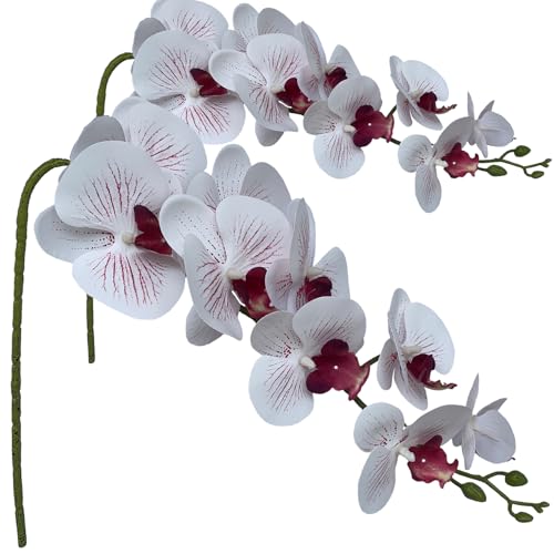 FagusHome Artificial Phalaenopsis Flowers Branches 9 Large Blooms Artificial Orchid Flowers Stem Plants 42 Inches 2 Pcs for Home Wedding Décor (White and Purpleline) - color: White and Purpleline