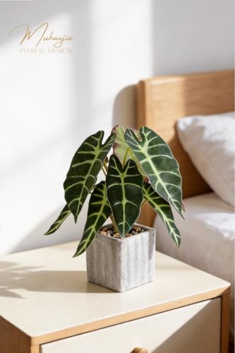 Muhanjia Artificial Potted Plant, Lifelike Faux Greenery in Decorative Cement-Look Square Pot for Indoor Home Decor Centerpieces (Alocasia) - color: Alocasia