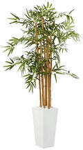 Nearly Natural 5812 5’ Bamboo Artificial Tree in White Tower Planter, Green