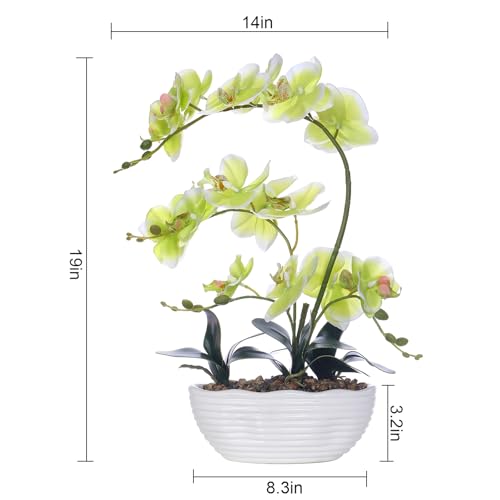 19" H Phalaenopsis Faux Orchid Plant Silk Orchid Centerpiece Artificial Floral Arrangement in Ceramic Pot (Apple Green) - color: Apple Green