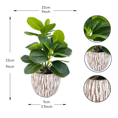 Artificial Potted Plants Life-Like Fake Plant with Farmhouse-Style Cement Planter Feturing Light Wood Tone for Room Bathroom Bedroom Kitchen Office Dese Coffee Table Décor (9inch) - size: Ficus 9inch