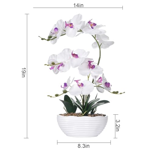 19" H Phalaenopsis Faux Orchid Plant Silk Orchid Centerpiece Artificial Floral Arrangement in Ceramic Pot (White) - color: White