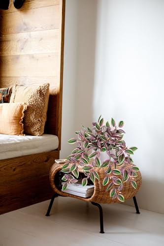 Briful Artificial Potted Plant Indoor, 17.7" Faux Trailing Plant in White Plastic Pot Blush Green Variegated Fake Cascading Plant for Bedroom Shelf Vanity Bathroom Office Desk Home Decor - color: Blush Green Variegated