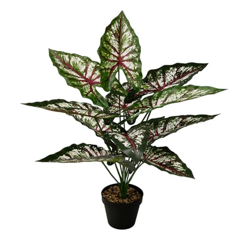 Aglaonema Plant with Variegated Green and Red Leaves, Fake Tree Leaf Simulation Flower Bonsai for Party Decoration Artificial Plants Floor Home Room Decor Ornament (Green Red No Flowerpot, 60cm) - color: Green Red No Flowerpot, size: 60cm