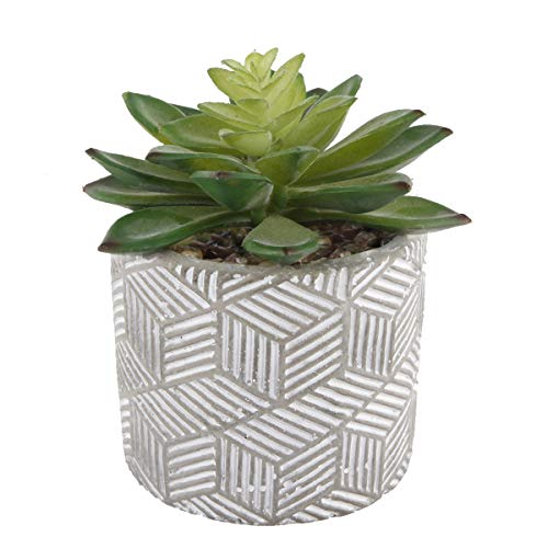 Flora Bunda Mid Century Artificial Plants Cactus Set of 2 Artificial Succulent in 3" Cement Pot Grey Planter, 2 Fake Potted Plants, for Home Office Decorations