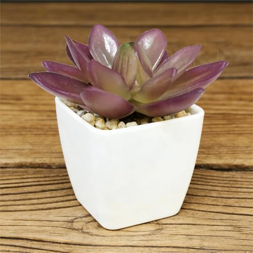 Artificial Succulent Plants in Pot - 1Pcs Treasure Lotus Realistic Fake Potted Succulents for Home Decor, Desk, Office, Bathroom, Windowsill - Indoor Houseplant for Bedroom, Kitchen, Shelf - color: Treasure Lotus