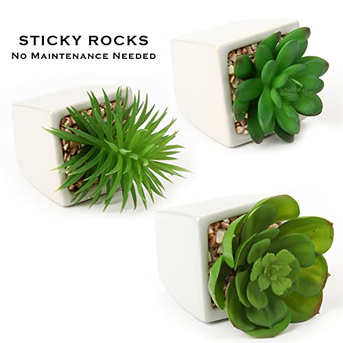 Hollyone Succulents Plants Artificial 3Pcs Small Fake Succulents in Pots Faux Plastic Potted Plants with White Ceramic Pot for Home Decor Classroom Office Bathroom Shelf Indoor & Outdoor Decorations - color: 3pack - White Ceramic 1