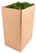SuperMoss (25327) Forest Moss Preserved, Fresh Green, 10 Pounds - color: Fresh Green, size: 4,950 cu in