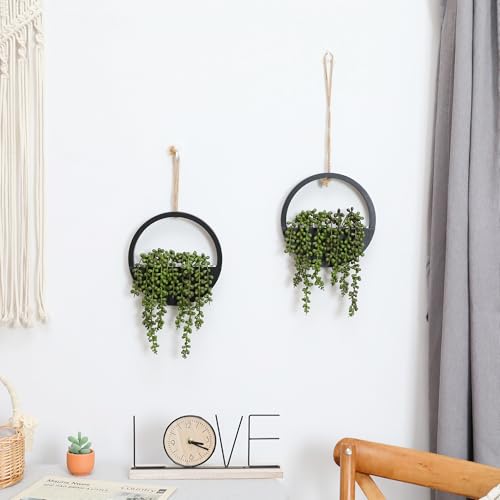 Floweroyal 2pcs Artificial Succulents Hanging Plants 20.1'' Fake String of Pearls in Pot with 9.4'' Lanyard for Indoor Outdoor Wall Decor (Black) - color: Black-large-2pcs