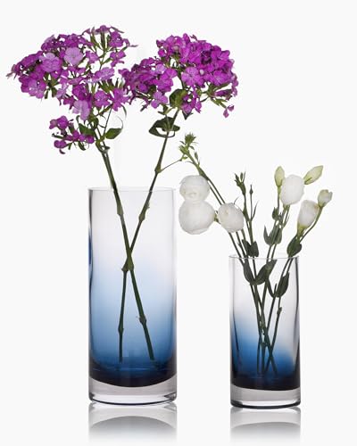 CONVIVA Blue Glass Cylinder Vases for Flowers Set of 2, Modern Hand Blown Thick Ombre Centerpieces, Heavy Coastal Home Decor for Dining Table, Tall and Small 10" & 7" - color: Blue Set of 2