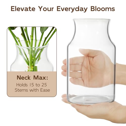 Clear Glass Vase, 8 inch Glass Flower Vase for Plants, Small Vase for Vases for Centerpiece, Home, Wedding, Living Room, Dining Table - size: 4.7"W x 7.8"H