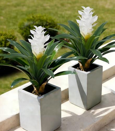 Ivydale Fake Flowers Plants for Outdoors, 2 Pcs 16.93" Bromeliad Artificial Flowers Uv Resistant Realistic Faux Flowers for Outdoor Planters Outside Porch Patio Yard Garden Indoor Decoration(White) - color: White