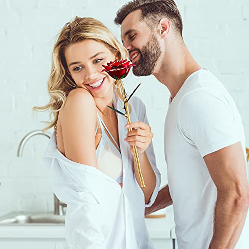 Anniversary Birthday Gifts for Women Forever Gold Dipped Rose Christmas Women Gifts 24k Gold Plated Eternal Flower Love Romantic Rose Gifts Box for Anniversary Valentines Day,Mothers Day,Birthday(red) - color: Red