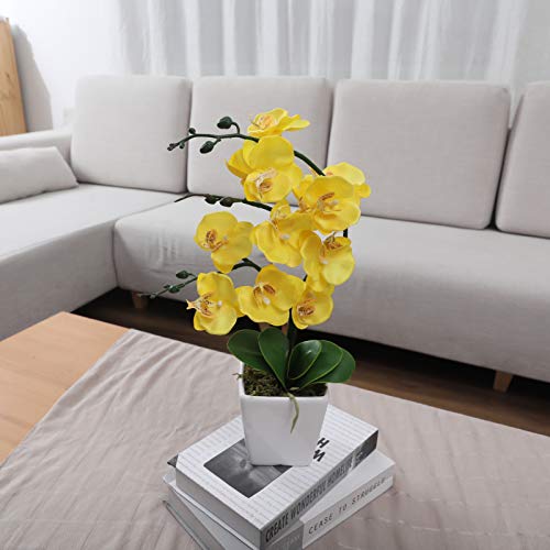 15" Tall Artificial Silk Phalaenopsis Orchid Flower Plant Pot Arrangements (Yellow) - color: Yellow