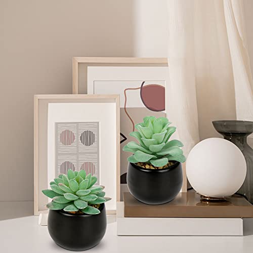 Briful 3PCS Artificial Succulents Fake Plants Mini Succulents Potted in Black Ceramic Pots Artificial Plastic Plants for Home Office Desk Farmhouse Bathroom Décor - color: Type #1