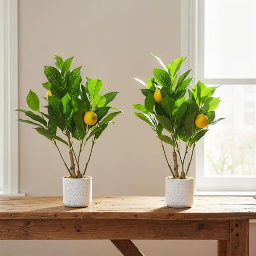 2Pcs 19.7" Artificial Lemon Trees with White Pot, Faux Small Citrus Fake Plants with Vivid Leaves and Realistic Lemons for Indoor Home Office Shelf Decor, Home Accent Gift - size: 4 x 4 x 15.8 inches