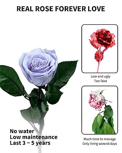 Blue Flowers for Delivery Prime, Preserved Blue Roses Flower Gifts for Women, Real Roses Single Rose Gifts for Her, Mom Birthday Gifts from Daughter, Solid Lilac Roses - color: 09-solid Lilac