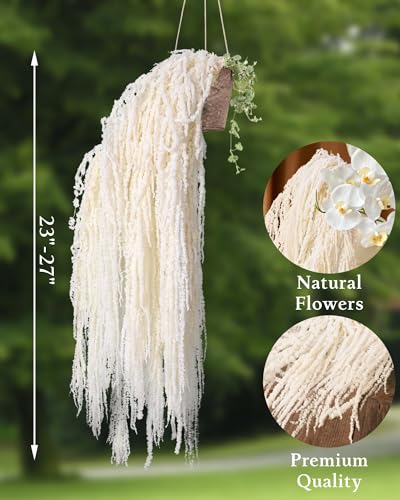 17PCS Dried Amaranthus Hanging Flowers – 100% Natural 23" Ivory White Preserved Amaranthus for Wedding Decor, Floral Arrangements, Arch Backdrop, Table Centerpieces & Home Wall Hanging - color: 17pcs Ivory White