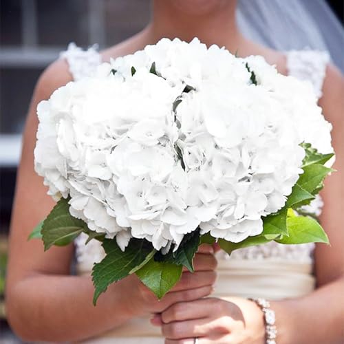 Coferset 5pcs Hydrangea Artificial Flowers Real Touch 20 inch Lifelike Hydrangea Flower for Home Wedding Office Party Living Room Decoration (White) - color: White