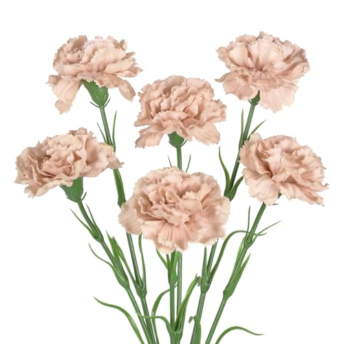 IPOPU Carnations Artificial Flowers,6PCS Real Touch Beige Flowers 20'' Long Stem Fake Carnations for Tall Vases Home Wedding Party Table Centerpieces Decor (Beige) - color: Beige