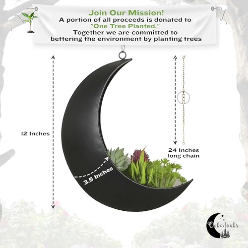 Hanging Moon Planter for Moon Room Decor - Great for Succulents, Air Plant, Mini Cactus, Faux, Artificial Plants-Boho Hanging Planters for Indoor Plants, Witchy Gifts for Women, Birthdays,Plant Lovers - color: Black Moon Planter Only