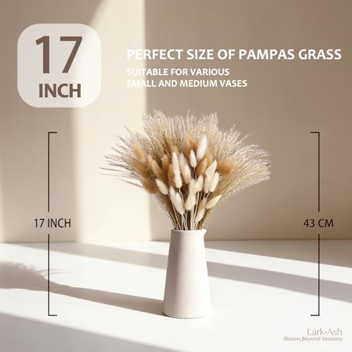 220 Stems Dried Pampas Grass Decor-White Pampas Grass,Brown Pampas,Bunny Tails Grass,Fluffy Pompas.Rustic Flower Bouquets for Wedding, Home Decor,Table Centerpiece,Apartment and Boho Decor - size: 220 Pcs