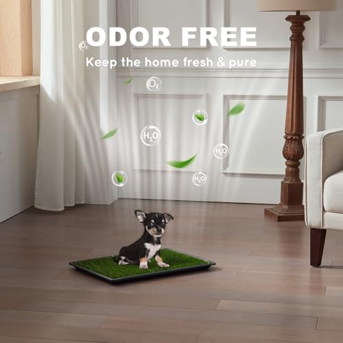 HQ4US 4LEGS Dog Grass Pad with Tray Small 23" x 16", Dog Puppy Litter Box with Odor Free Artificial Grass Pee Pads for Dogs Potty Tray with Hemmed Edge, Realistic for Indoor Balcony - size: S(No Grate) - 23" x 16" for Dog＜19'' Length