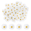 Nogeqi 100 Pcs Daisy Flower Head Artificial Daisy Flower White Gerbera Fake Flowers Heads for DIY Garland Craft Birthday Wedding Party Easter Bonnet Home Decoration