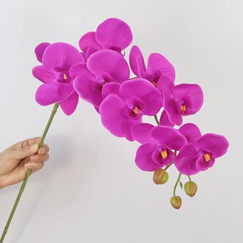 Artificial Phalaenopsis 5 Pcs Artificial Flowers Artificial Orchid Flowers Stem Fake Plants for Décor (Purple) - color: Purple