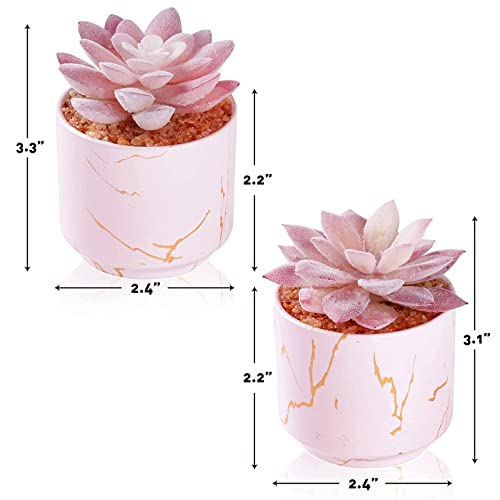 ZENIDA Succulent Artificial Plants,Cute Fake Succulents in 2 Pink Ceramic Pots,Small Fake Plants for Office,Table,Desk,Bathroom, Bedroom,Aesthetic Room Shelves Decor,Desk Decorations for Women Office - color: Pink
