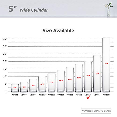WGV Cylinder Vase, Diameter 5", Height 20", Clear Glass Floral Planter Container, Tall Centerpiece Arrangement for Wedding Party Event Home Office Decor, 1 Piece - size: 5"x20"H CL