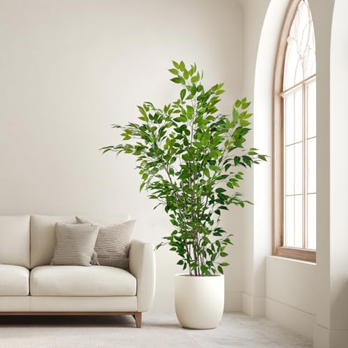 6ft Artificial Ficus Tree with White Plastic Planter | Collapsible trunk structure enables quick assembly and compact space-saving storage - color: Green, size: 6ft