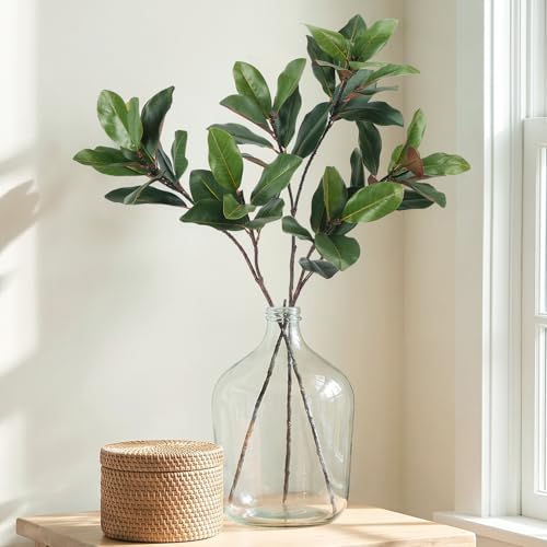 3 PCS 32" Faux Magnolia Stems Branches with 17 Leaves Artificial Greenery Long Stems Realistic Fake Banana Leaves Decorative Plants for Vase Kitchen Office Table Home Decor - color: 3pcs Magnolia Stems