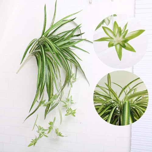 3 Packs Artificial Spider Plant, Silk Faux Chlorophytum Comosum Fake Spider Hanging Plant Decor for Outdoor Indoor Home Garden Office Decoration